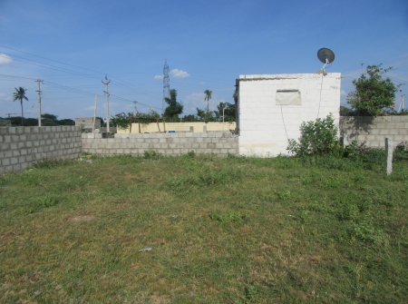 West Facing 50 Anks Plot for Sale Near Chaithanya College - Thanapalli Road, Tirupati